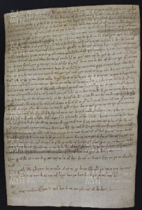 13 B.7.XIIIr, Donazione fatta da Raimondo da Magreta a favore di Varino vescovo, Magreta, [1013-1014, set. 25]